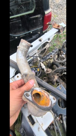 Tapa termostato Nissan Terrano ZD30