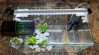Kit para pecera: Luz, Dispensador, Filtro...