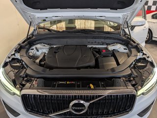 Volvo XC60 2.0 D3 Momentum 150 CV