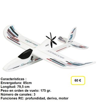 Avión RC F22 Factory