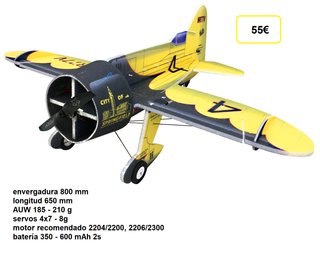 Avión RC F22 Factory