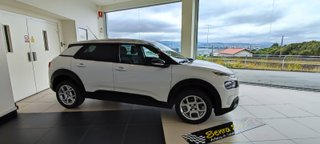Citroen C4 Cactus 1.5 BlueHDi 100 Shine