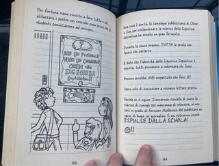 I diari di Nikki - La posta del cuore Libro