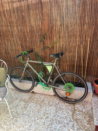 Bicicleta Montaña Montexel Gris y Verde