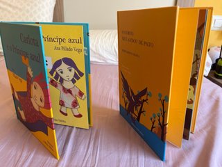 Lote 2 Libros Infantiles Gallegos