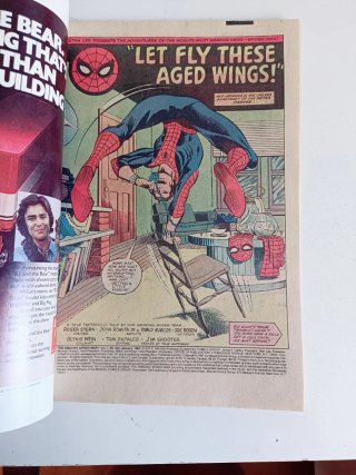 The Amazing Spider-Man #224