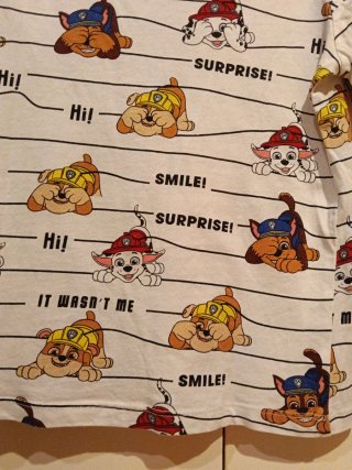 Camiseta Patrulla Canina niño manga corta