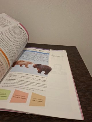 Filosofía 1o bachillerato
