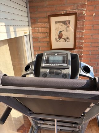 BH Fitness Pioneer R9. Motor quemado