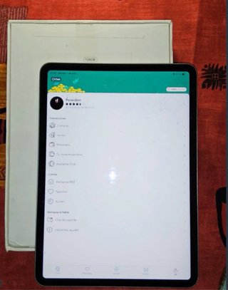 iPad Pro 11 M2 4.ª Gen 2022 Plata