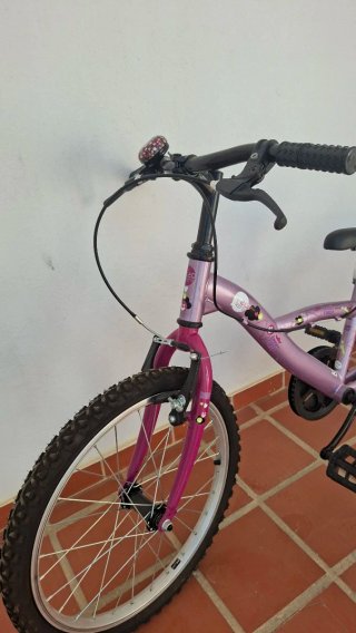Bicicleta niña morada 20 pulgadas