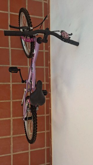 Bicicleta niña morada 20 pulgadas