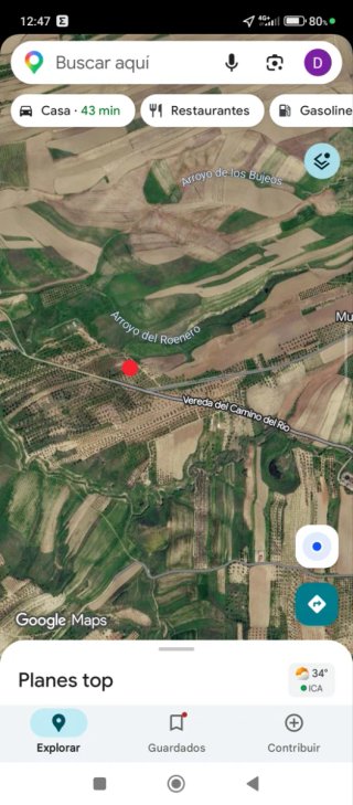 Terreno de olivar
