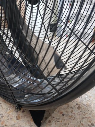 Ventilador Industrial 180W Negro
