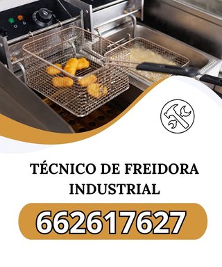 Técnico de freidora industrial s082087