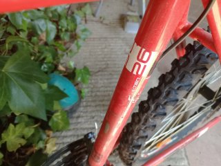 Bicicleta de montaña roja