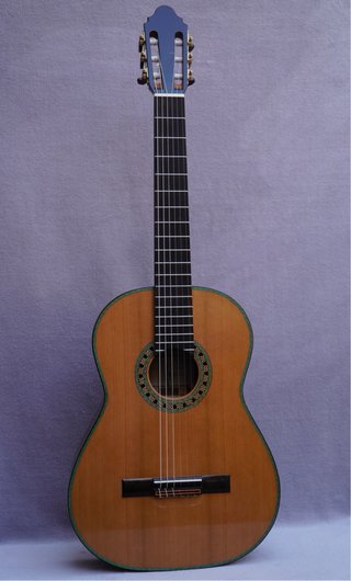 Guitarra Artesana Profesional Coleccionista