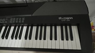Thomann DP-26 Piano Digital 88 Teclas
