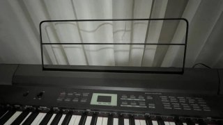 Thomann DP-26 Piano Digital 88 Teclas
