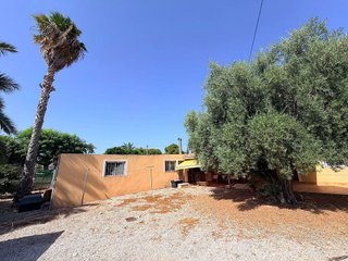 Chalet en alquiler en La Algoda - Matola - El Pla en Elche