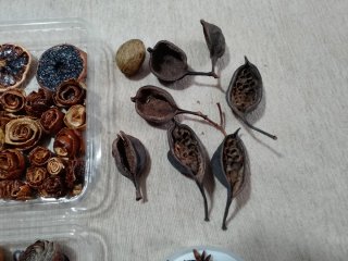 Lote materiales naturales manualidades