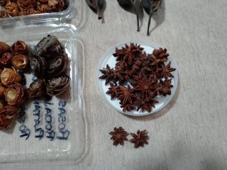 Lote materiales naturales manualidades