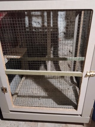 Jaula para pájaros de dos pisos