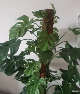 Planta artificial Monstera 1,40m