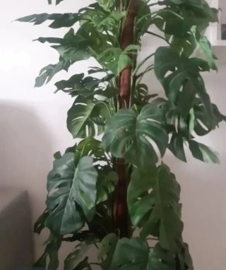 Planta artificial Monstera 1,40m
