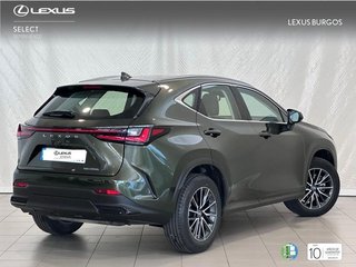 Lexus NX 350H BUSSINES CITY