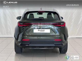 Lexus NX 350H BUSSINES CITY