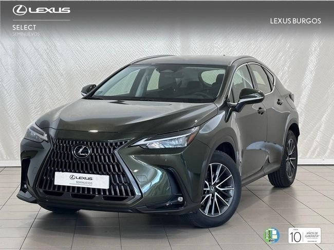 Lexus NX 2022