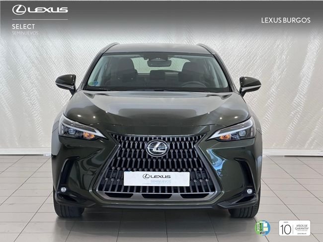 Lexus NX 2022, foto 2