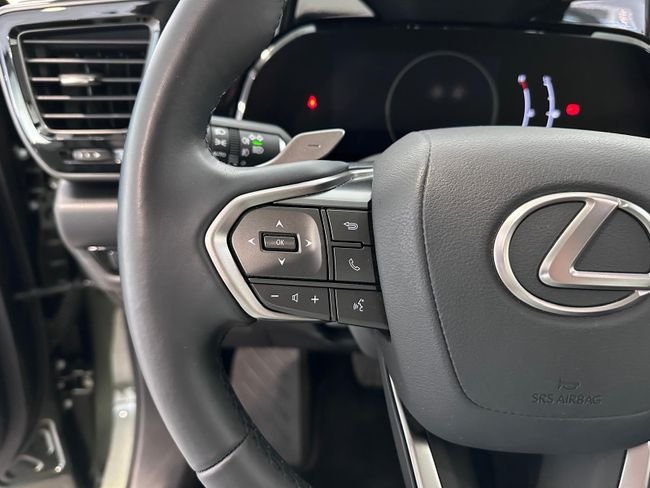 Lexus NX 2022, foto 13