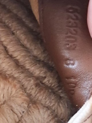 Zapatillas Gucci