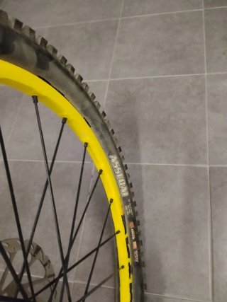 Mondraker Dune RR 2016