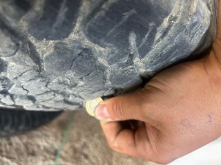 Neumáticos y Llantas 31x10.5 R15