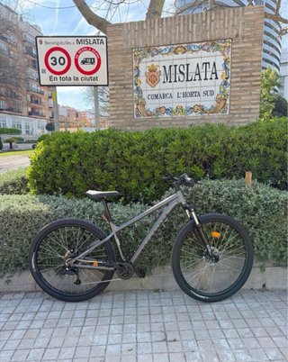 Bicicleta 29 Talla L