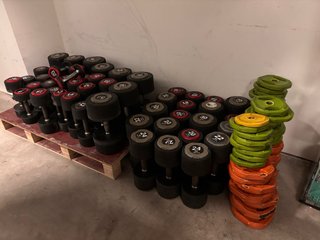 Mancuernas y discos de gimnasio