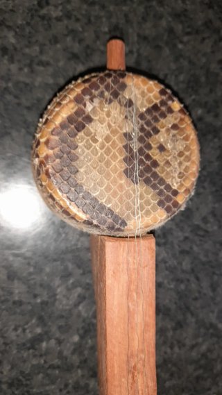 Erhu 2 corde pelle serpente