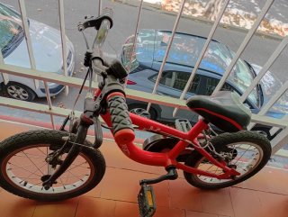 Bicicleta infantil 3-4-5 años