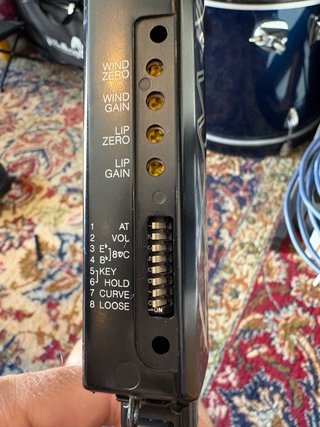 Saxo MIDI Yamaha WX7