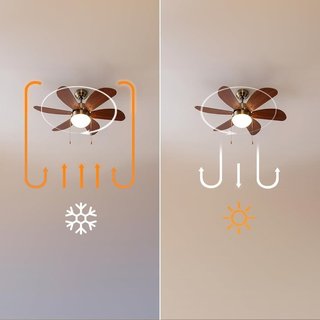 Cecotec Ventilador Techo Luz EnergySilence