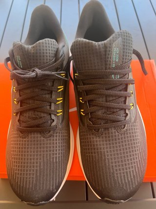 Nike Air Pegasus 39 Talla 44