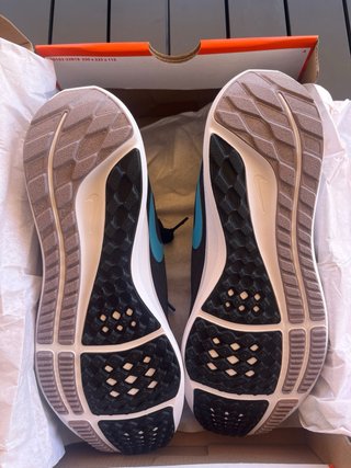 Nike Air Pegasus 39 Talla 44
