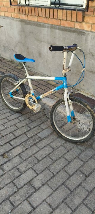 Pack de 2 Bicicletas Orbea y bicicleta Calif