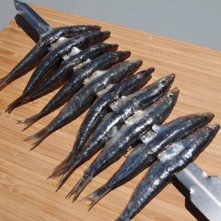 Espetos Acero Inoxidable para sardinas