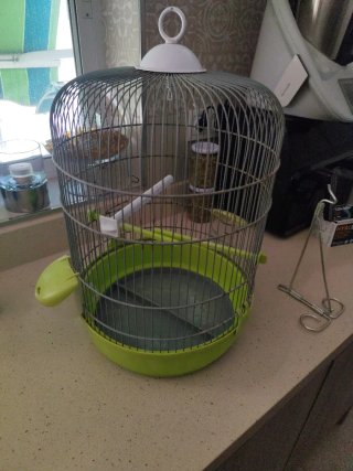 Jaula grande para pájaros