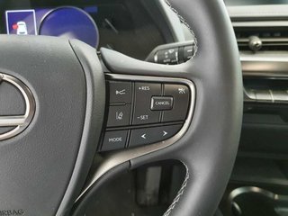Lexus UX 250H PREMIUM 2WD
