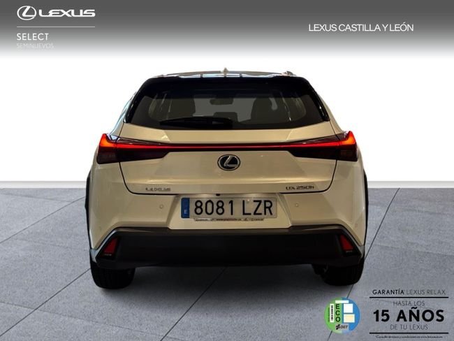 Lexus UX 2022, foto 4